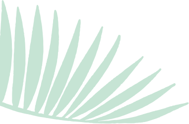 about-shape5-2