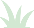 blog-post3-shape