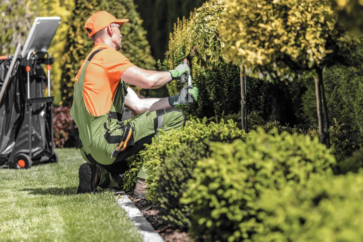 macarthur-landscape-gardening-labour-hire